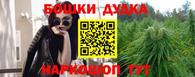 МДПВ Моздок