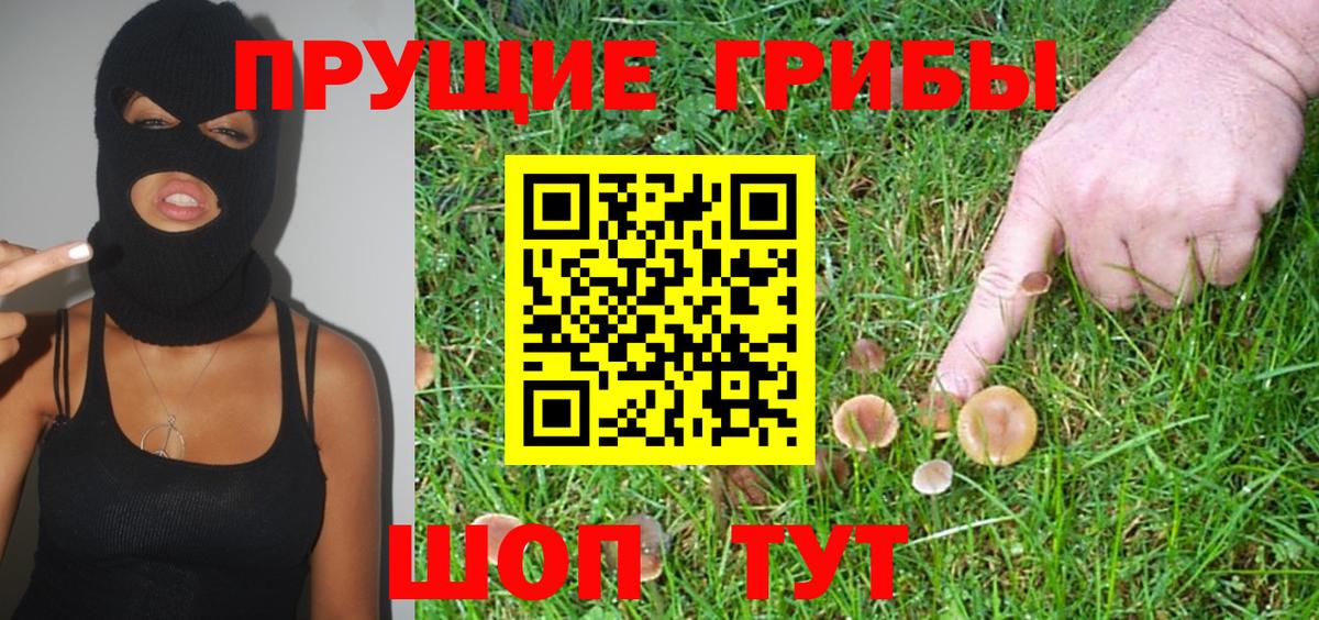 Псилоцибиновые грибы прущие грибы  Вход с VPN  Тихвин 