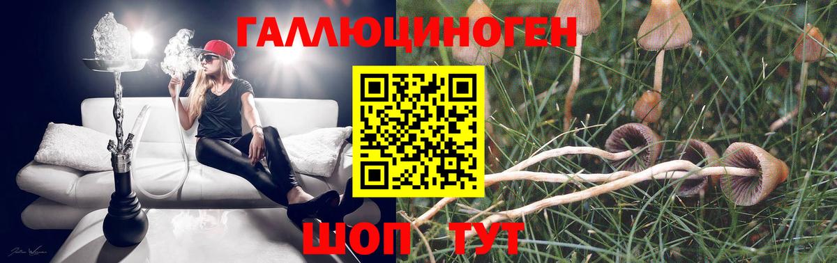 Галлюциногенные грибы Cubensis Тихвин
